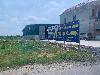 202407_Thanhhoa/20240709-102934-0.JPG 1404KB