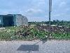 202407_Thanhhoa/20240709-102957-0.JPG 1402KB