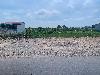 202407_Thanhhoa/20240709-103001-0.JPG 1488KB