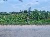 202407_Thanhhoa/20240709-103011-0.JPG 1559KB