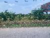 202407_Thanhhoa/20240709-103017-0.JPG 1629KB