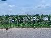 202407_Thanhhoa/20240709-103024-0.JPG 1427KB