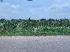 202407_Thanhhoa/20240709-103026-0.JPG 1409KB