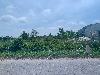 202407_Thanhhoa/20240709-103043-0.JPG 1326KB
