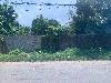202407_Thanhhoa/20240709-103104-0.JPG 1461KB
