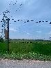 202407_Thanhhoa/20240709-103230-0.JPG 1325KB