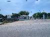 202407_Thanhhoa/20240709-103756-0.JPG 1148KB
