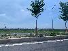 202407_Thanhhoa/20240709-104128-0.JPG 1038KB