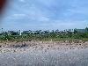 202407_Thanhhoa/20240709-104823-0.JPG 1275KB