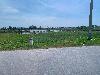 202407_Thanhhoa/20240709-104852-0.JPG 1299KB