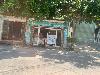 202407_Thanhhoa/20240709-105229-0.JPG 1289KB