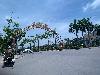 202407_Thanhhoa/20240709-110434-0.JPG 1337KB