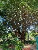 202407_Thanhhoa/20240710-081934-0.JPG 3144KB