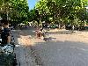 202407_Thanhhoa/20240710-083225-0.JPG 2070KB