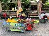 202407_Thanhhoa/20240710-090906-0.JPG 1831KB