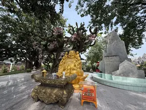 Bức ảnh chụp một không gian ngoài trời, có thể là trong một ngôi chùa hoặc công viên văn hóa. Ở trung tâm là một bức tượng Phật Di Lặc lớn bằng vàng, đang ngồi với nụ cười rạng rỡ và chiếc bụng to. Xung quanh tượng Phật là nhiều bức tượng trẻ em nhỏ cũng bằng vàng đang nô đùa. Phía sau tượng Phật là một cây nhân tạo lớn, có thân cây xù xì và những cành cây uốn lượn. Trên cây có những bông hoa lớn màu hồng tím, được cách điệu thành hình đầu rồng. Phía trước tượng là một bàn thờ bằng đồng được chạm khắc hoa văn rồng phượng tinh xảo, trên bàn có lư hương, ly nước và bình hoa. Bên cạnh bàn thờ là một chiếc hòm công đức nhỏ màu cam. Bên phải là một hòn non bộ bằng xi măng màu xám và một bờ hồ uốn lượn được ốp gạch men màu xanh nhạt. Xung quanh là những cây xanh lớn với tán lá rậm rạp, và sân được lát bằng đá granit màu xám.。（日本語訳）。写真は屋外の空間を写したもので、寺院か文化公園の中かもしれません。中央には金色の大きな弥勒菩薩像があり、満面の笑みを浮かべ、大きなお腹をして座っています。仏像の周りには、同じく金色の、戯れている多くの子供たちの小さな像があります。仏像の後ろには大きな人工の木があり、ごつごつした幹と曲がりくねった枝があります。木には、龍の頭の形に様式化された、大きなピンク紫色の花があります。像の前には、精巧な龍鳳の文様が彫られた銅製の祭壇があり、その上には香炉、水杯、花瓶が置かれています。祭壇の隣には、オレンジ色の小さな賽銭箱があります。右側には、灰色のセメントでできた築山と、水色のタイルが張られた曲がりくねった池の縁があります。周囲には葉が茂った大きな緑の木々があり、庭は灰色の花崗岩で舗装されています。