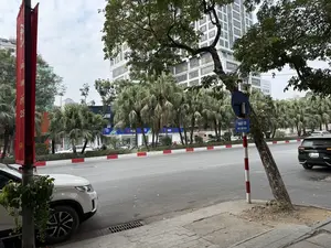 NGÕ 19。PHỐ LIỄU GIAI。MB。25。HÚT BỂ PHỐT。0987 631 556。0964 5506。30L 192.04。（日本語訳）。19番路地。リエウザイ通り。MB。25。浄化槽清掃。0987 631 556。0964 5506。30L 192.04