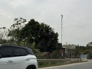 MUA XE CÁC LOẠI VÀ LÀM CẤP SỔ ĐỎ。（日本語訳）。各種車両の買取および土地使用権証明書（レッドブック）の発行手続き