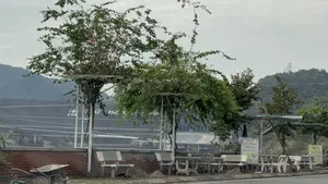 EVN。Hà An。GIẢI KHÁT。TRÀ ĐÁ。ĐỒ UỐNG CÁC LOẠI。MÍA TƯƠI。TÂN CANG。（日本語訳）。EVN。ハ・アン。ドリンク。アイスティー。各種ドリンク。生サトウキビ。タンカン