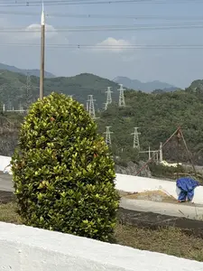 Bức ảnh chụp một khung cảnh ngoài trời với một bụi cây xanh tươi, rậm rạp ở phía trước, bên cạnh một bức tường bê tông màu trắng. Ở phía sau, trên một con đường hoặc khu đất trống, có một người đang cúi người, mặc một bộ quần áo bảo hộ màu xanh lam. Gần đó là một kết cấu kim loại hình tam giác đã bị gỉ sét. Phông nền là những ngọn núi trập trùng được bao phủ bởi cây xanh. Rất nhiều cột điện cao thế màu trắng vươn cao trên sườn núi, và một cột điện đơn lẻ đứng ở bên trái. Bầu trời trong xanh với vài đám mây trắng.。（日本語訳）。写真は屋外の風景を写しており、手前には白いコンクリートの壁の隣に、青々とした生い茂る茂みがある。後方には、道路か空き地の上で、青い防護服を着てかがんでいる人が一人いる。その近くには、錆びた三角形の金属構造物がある。背景は緑に覆われた連なる山々だ。多くの白い高圧電柱が山腹に高くそびえ、左側には一本の電柱が立っている。空は青く澄み、白い雲がいくつか浮かんでいる。