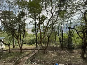 Bức ảnh chụp một khung cảnh nhìn từ trên cao, xuyên qua những tán cây. Tiền cảnh là một sườn đồi dốc, đất đai không được dọn dẹp, có một lối đi bậc thang hoặc rãnh nước bằng bê tông cũ kỹ. Dưới đất có nhiều rác thải như chai nhựa và giấy vụn. Nhiều cây thân gỗ với cành lá khẳng khiu, thưa thớt mọc trên sườn đồi. Ở phía xa, qua các kẽ lá, có thể thấy một công trình nhân tạo lớn với các bậc thang, có thể là một mỏ đá hoặc một phần của một con đập. Rừng cây xanh tươi bao phủ khu vực xung quanh. Bầu trời có mây, màu trắng xám.。（日本語訳）。写真は、木々の梢を通して上から見た風景を写している。前景は急な丘の斜面で、土地は整備されておらず、古いコンクリート製の階段状の通路または排水溝がある。地面にはペットボトルや紙くずなどのゴミがたくさんある。丘の斜面には、枝葉が痩せてまばらな多くの木が生えている。それは採石場かダムの一部かもしれない。周辺地域は青々とした木々の森に覆われている。空は曇っており、灰色がかった白色である。