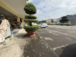 Bức ảnh chụp một bãi đỗ xe bên cạnh một tòa nhà một tầng. Tòa nhà được sơn màu vàng, phía trước là một cửa hàng bán đồ lưu niệm với các mặt hàng như mũ, nón, quần áo và các đồ vật khác. Có một chậu cây cảnh lớn được đặt ở rìa vỉa hè. Trên bãi đỗ xe bằng nhựa đường, có một vài chiếc ô tô và xe máy đang đỗ. Phía xa là một ngọn đồi lớn và bầu trời có mây.。（日本語訳）。写真は、1階建ての建物の隣にある駐車場を写しています。建物は黄色に塗られており、正面は帽子、衣類、その他の品物などの商品を扱う土産物店です。歩道の端には大きな観葉植物の鉢が置かれています。アスファルトの駐車場には、数台の自動車とバイクが駐車しています。遠くには大きな丘があり、空は曇っています。