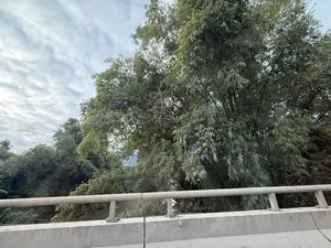 Khung cảnh được chụp từ một vị trí trên cao, có thể là trên một cây cầu. Ở tiền cảnh, có một lan can bằng bê tông và một thanh chắn kim loại. Phía sau lan can là một lùm tre lớn, rậm rạp với lá cây xanh tươi. Bầu trời u ám và có nhiều mây.。（日本語訳）。風景は高い位置から撮影されており、おそらく橋の上からでしょう。前景には、コンクリート製の手すりと金属製のガードレールがあります。手すりの後ろには、青々とした葉が生い茂る大きな竹やぶがあります。空はどんよりと曇っています。