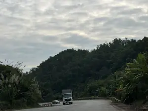 Một chiếc xe tải màu trắng và một chiếc ô tô con màu sẫm đang di chuyển trên một con đường đèo uốn lượn. Hai bên đường là sườn đồi với cây cối xanh um tùm, bao gồm cả những bụi cỏ lau và cây chuối. Bầu trời u ám, đầy mây xám.。（日本語訳）。白いトラック1台と濃い色の乗用車1台が、曲がりくねった峠道を走行しています。道の両側は、ススキの茂みやバナナの木を含む、青々と茂った木々のある丘の斜面です。空はどんよりとしており、灰色の雲でいっぱいです。