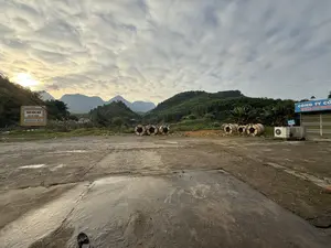 TRẠM DỪNG NGHỈ。ĐÈO ĐÁ TRẮNG。CHUYÊN PHỤC VỤ ĂN UỐNG - DỪNG NGHỈ。CÔNG TY CỔ。CHUYÊN: KINH DOANH。（日本語訳）。休憩所。ダ・チャン峠。飲食・休憩サービス専門。コー会社。専門：事業