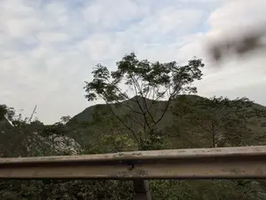 Bức ảnh chụp phong cảnh núi non nhìn từ sau một lan can đường bộ. Phía trước là một lan can kim loại. Phía sau lan can là cây cối xanh tươi, với một cây cao, khẳng khiu nổi bật ở trung tâm. Xa xa là một ngọn núi lớn được bao phủ bởi thảm thực vật. Bầu trời u ám và đầy mây trắng xám. Ở phía xa bên trái, trên đỉnh một ngọn đồi, có một tòa nhà nhỏ với một lá cờ đỏ.。（日本語訳）。道路のガードレールの後ろから見た山岳風景の写真。手前には金属製のガードレールがある。ガードレールの後ろには青々とした木々があり、中央には背の高い、骨張った木が目立っている。遠くには植生に覆われた大きな山がある。空は曇っており、灰白色の雲でいっぱいである。遠く左側、丘の頂上には、赤い旗のある小さな建物がある。