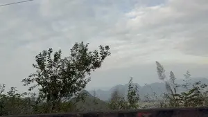 Bức ảnh chụp một khung cảnh thiên nhiên miền núi. Bầu trời u ám, bao phủ bởi những đám mây trắng xám. Phía xa là những dãy núi trập trùng, ẩn hiện mờ ảo trong làn sương. Ở tiền cảnh, có một bụi cây xanh và vài cây cỏ lau cao đang trổ bông. Một đường dây điện mỏng cắt ngang qua góc trên của bầu trời.。（日本語訳）。写真は山岳地帯の自然の風景を写しています。空はどんよりとしており、灰白色の雲に覆われています。遠くには、幾重にも連なる山々が霧の中にぼんやりと見え隠れしています。手前には、緑の茂みと、花を咲かせている背の高いススキが数本あります。一本の細い電線が空の上方を横切っています。