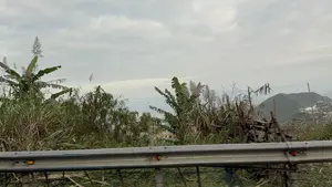 Bức ảnh chụp phong cảnh núi đồi từ ven đường. Ở phía trước, có một hàng rào chắn bằng kim loại. Ngay sau hàng rào là thảm thực vật um tùm với nhiều loại cây cỏ, bao gồm cây chuối và những bụi cỏ lau cao đang trổ bông. Xa hơn là những ngọn núi trập trùng, cây cối xanh tươi bao phủ. Trên sườn núi phía xa có thể nhìn thấy một vài ngôi nhà hoặc công trình xây dựng. Bầu trời u ám, đầy mây trắng xám.。（日本語訳）。道端から撮影された山々の風景写真です。手前には、金属製のガードレールがあります。ガードレールのすぐ後ろには、バナナの木や穂が出ている背の高いススキの茂みなど、様々な種類の草木が生い茂っています。さらに遠くには、青々とした木々に覆われた、幾重にも連なる山々があります。遠くの山腹には、いくつかの家や建造物が見えます。空はどんよりとしており、灰白色の雲でいっぱいです。