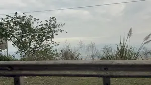 Bức ảnh chụp phong cảnh ven đường, có thể được chụp từ một phương tiện đang di chuyển. Ở tiền cảnh là một hàng rào chắn bằng kim loại. Phía sau hàng rào là cây cối và những bụi cỏ lau cao. Ở phía xa là những dãy núi trập trùng mờ ảo trong sương. Bầu trời u ám, đầy mây, có một đường dây điện vắt ngang qua.。（日本語訳）。道端の風景を撮影した写真で、移動中の乗り物から撮影された可能性があります。手前には金属製のガードレールがあります。ガードレールの後ろには木々や背の高いススキの茂みがあります。空はどんよりとして雲に覆われ、一本の電線が横切っています。