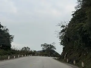 Phong cảnh một con đường đèo quanh co ở vùng núi. Con đường nhựa có vạch kẻ đứt quãng màu vàng ở giữa. Dọc hai bên lề đường là hàng cọc tiêu bằng bê tông, phần thân màu trắng và đỉnh màu đỏ. Phía bên phải là một vách núi dốc đứng, được bao phủ bởi cây cối rậm rạp. Phía bên trái, thảm thực vật đa dạng hơn với các bụi cây, cỏ dại và những bông cỏ lau cao đang trổ bông trắng. Một số cây lớn đã rụng hết lá, cành khẳng khiu vươn lên nền trời xám xịt, u ám. Ở phía xa, con đường tiếp tục uốn cong, có thể thấy thấp thoáng vài biển báo giao thông và một công trình bằng đá nhỏ giống như miếu thờ hoặc tháp nhỏ bên đường.。（日本語訳）。山岳地帯の曲がりくねった峠道の風景。アスファルトの道路には、中央に黄色の破線が引かれている。道路の両脇にはコンクリート製の標柱が並んでおり、胴体は白く、先端は赤い。右側は急な崖で、鬱蒼とした木々に覆われている。左側は、低木、雑草、そして白い花を咲かせている背の高いススキなど、より多様な植生が見られる。いくつかの大きな木は葉をすべて落とし、ごつごつした枝がどんよりとした曇り空に向かって伸びている。