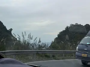 Bức ảnh chụp cảnh quan trên một con đường đèo núi, nhìn từ trong xe ô tô. Bầu trời u ám, xám xịt. Hai bên đường là những ngọn đồi được bao phủ bởi cây cối rậm rạp. Dọc theo lề đường có một hàng rào chắn bằng kim loại và những bụi cỏ lau đang nở hoa trắng. Ở phía xa, những dãy núi chìm trong sương mù. Phía bên phải, một phần của chiếc xe tải nhỏ màu xanh dương đang đi trên đường.。（日本語訳）。車の中から見た、山の峠道の風景写真。空はどんよりと灰色だ。道の両側は、鬱蒼とした木々に覆われた丘である。道端に沿って金属製のガードレールと、白い花を咲かせているススキの茂みがある。遠くには、山々が霧に沈んでいる。右側には、青い小型トラックの一部が道を走っている。