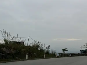 写真は、山間部あるいは農村地域の舗装された道を写したものです。空はどんよりとしており、灰色で雲に覆われています。道端には、緑の草が生い茂り、白い花を咲かせた背の高いススキの茂みがある、傾斜した土手があります。道路に沿って、赤と白に塗られたコンクリート製の視線誘導標が設置されています。右手の遠くには、金属製のガードレールの一部、数本の小さな木、そして家の一部が見えます。風景は静かで、やや閑散として見えます