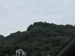 Bức ảnh chụp một ngọn núi được bao phủ bởi cây cối xanh rậm rạp dưới bầu trời u ám, đầy mây. Phía trước ngọn núi có những đường dây điện chạy ngang qua. Ở góc dưới bên trái là một ngôi nhà hai tầng màu trắng. Toàn bộ khung cảnh mang vẻ tĩnh lặng của một vùng nông thôn hoặc ngoại ô vào một ngày không nắng.。（日本語訳）。写真は、どんよりとした曇り空の下、青々とした木々に覆われた山を写しています。山の前には電線が横切っています。左下の角には、白い二階建ての家があります。全体の風景は、晴れていない日の田舎か郊外の静けさを感じさせます。