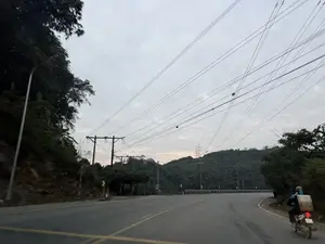 Khung cảnh một con đường nhựa uốn lượn qua vùng đồi núi vào một buổi chiều u ám. Bầu trời đầy mây xám. Hai bên đường là cây cối rậm rạp. Hệ thống dây điện chằng chịt vắt ngang trên trời. Ở phía bên phải, một người đang lái xe máy có biển số 20-B1 159.04, phía sau chở một kiện hàng lớn. Xa xa trên đồi có một cột điện cao thế.。（日本語訳）。曇った午後の、山間部を曲がりくねるアスファルトの道の光景。空は灰色の雲でいっぱいだ。道の両側は木々が鬱蒼と茂っている。複雑に絡み合った電線が空を横切っている。右側では、ナンバープレート20-B1 159.04のバイクを運転している人が一人おり、後ろに大きな荷物を一つ積んでいる。遠くの丘の上には高圧鉄塔が一本ある。