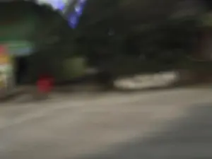 Bức ảnh rất mờ và nhòe, dường như được chụp trong lúc đang di chuyển vào ban đêm. Khung cảnh tối với các vệt sáng màu không rõ nét. Có thể nhận thấy một mảng màu tối lớn ở phía trên, có thể là cây cối hoặc tòa nhà. Phía dưới là một bề mặt màu xám, có thể là mặt đường. Xuất hiện các đốm sáng mờ màu đỏ, vàng và xanh dương, có thể là đèn đường hoặc đèn từ các phương tiện khác.。（日本語訳）。写真は非常にぼやけて不鮮明で、夜間に移動中に撮影されたようです。背景は暗く、不明瞭な色の光の筋があります。上部には大きな暗い塊が認められ、木々または建物である可能性があります。下方は灰色の面で、路面である可能性があります。赤、黄、青色のぼやけた光の斑点が現れており、街灯または他の車両からの光である可能性があります。