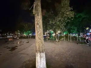 Bức ảnh chụp cảnh một công viên vào ban đêm. Ở phía trước là một thân cây to, phần gốc được sơn màu trắng. Nền đất có cả khu vực lát gạch và khu vực sân bê tông còn ẩm ướt với những vũng nước. Trong công viên có nhiều cây xanh, một số được trang trí bằng đèn màu xanh lá cây. Có những chiếc ghế đá và các cột trông giống như dụng cụ tập thể dục ngoài trời. Ở phía xa là ánh đèn từ các tòa nhà và đường phố. Một người đang đi bộ ở phía bên phải của bức ảnh.。（日本語訳）。夜の公園の風景を撮った写真です。手前には大きな木の幹があり、その根元は白く塗られています。地面には、レンガが敷かれたエリアと、水たまりができてまだ濡れているコンクリートの広場エリアの両方があります。公園にはたくさんの緑の木があり、そのうちのいくつかは緑色のライトで飾られています。遠くには、建物や通りからの明かりが見えます。写真の右側で一人の人が歩いています。