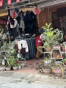 Bức ảnh chụp một cửa hàng quần áo ven đường. Phía trên mái hiên có treo cờ Đảng và cờ Tổ quốc cùng với những chiếc đèn lồng giấy màu đỏ. Cửa hàng trưng bày nhiều loại quần áo như áo khoác, áo phao và quần jean trên các giá treo. Một người phụ nữ mặc áo phao đỏ đang đứng trong cửa hàng. Phía trước cửa hàng có rất nhiều chậu cây cảnh được xếp trên kệ và dưới đất.。（日本語訳）。道端の服屋を撮った写真です。軒の上には、党旗と祖国旗が赤い紙提灯と一緒に掲げられています。店は、ジャケット、ダウンジャケット、ジーンズなど多くの種類の服をハンガーラックに陳列しています。赤いダウンジャケットを着た一人の女性が店の中に立っています。店の前には、たくさんの鉢植えの観葉植物が棚の上と地面に並べられています。