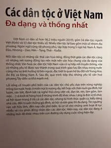 多くの民族はさらにいくつかの地方グループに分かれる。言語も非常に豊かで、南アジア語族、南島語族、モン・ミエン語族、シナ・チベット語族、タイ・カダイ語族の5つの語族に分類される。ベトナム諸民族の文化は、伝統を継承しつつ、国内での相互交流の過程で形成された要素や、特に中国、インド、東南アジアとの長年の関係といった外部からの影響も受けている。その後、西洋文化の要素を取り入れる過程も非常に力強く進んだ。また、織物、籠編み、鍛冶、陶芸、木工などの手工業や、様々なレベルの商品経済も存在した。「ラン（村）」はすべての民族にとって重要な社会組織単位であるが、その居住形態、家屋の様式から、家族の伝統、社会、宗教に至るまで多様である。アニミズム信仰は今日でも広く見られ、多くの民族の人々の多彩な儀礼的活動の基盤となっている。現在、諸民族は現代的な生活を築く道のりにおいて、それぞれ異なる段階にある