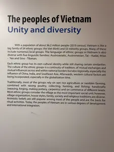これらの多くは、数多くの地域グループを含んでいます。ベトナムの民族グループの言語も多様で、オーストロアジア語族、オーストロネシア語族、タイ・カダイ語族、ミャオ・ヤオ語族、シナ・チベット語族の5つの語族が存在します。民族グループの文化は、伝統の継続性、国境内外および地域的な相互交流と相互影響、特に中国、インド、東南アジアからの影響の連続体です。その後、特にグローバリゼーションの時代において、西洋の文化的要因が取り入れられています。ほとんどの民族グループは村を最も重要な社会単位と考えていますが、村の組織、家屋の様式、家族、社会、宗教的伝統は多様です。アニミズム信仰は今なお多くの人々の間で一般的であり、儀礼活動の基盤となっています。今日、ベトナムの諸民族は、様々な発展段階と国際統合の過程にあります