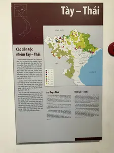 大多数は北部と北中部に居住し、主にタイー族、タイ族、ヌン族である。彼らの居住地域は非常に広く、紅河右岸からラム川左岸まで、ベトナム-中国国境およびベトナム-ラオス国境から北部の沿岸部の一部の地域にまで及ぶ。タイー・タイ語群の歴史は国の歴史と密接に結びついている。民間文化は豊かで多様である。主な経済は水稲栽培であり、古くからの集約農業の技術と経験を持つ。父系の小家族制度である。いくつかの民族の姓は、違いや時には起源をも示している。タイー族には一時的な婿入りの習慣があり、タイ族は生涯婿入りをする...。服装の共通点は藍色で装飾が少ないことだが、各民族の地域グループ間には違いがある