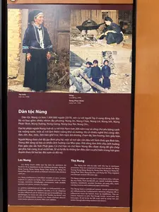 食文化については、豚の丸焼き、アヒルの丸焼き、バイン・ザイ、バイン・チュン、バイン・カオ、バイン・フォン、ラム・ダム・フォー・チュア、ラム・ゴン・アン・ドゥオン、チャム・ザイ、ラム・フオン、ラム・ザイ・ザイなど多くの名物料理がある。女性は5枚の身頃からなる長い上着を着用し、脇でボタンを留め、袖は広い。彼らの情緒的な生活は儒教の影響を多く受けている。精神生活は主に祖先崇拝であり、生産や人の一生のサイクルに関連する多くの儀式を執り行う。ヌン・ディン族には、父親が亡くなった際にすぐには埋葬せず、棺に入れて2年から3年間家に置いた後に埋葬するという風習がある。かつては男女の掛け合い歌が非常に盛んであった