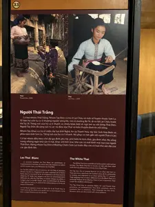 ライチャウ省とソンラ省のいくつかの県に居住するタイ・ムオイグループ。ソンラ省クインニャイ県とライチャウ省の近隣地域に居住するタイ・ドー（またはタイ・タイン）グループである。白タイ族には、ロー・ディ・ドンとロー・ディ・プックという姓もある。同じ言語を話すが、白タイ族は有名な黒タイ族とは異なる衣装やいくつかの慣習を今も用いている。彼らはラオスのタイ族と近しいと見なされている。彼らはまた、タイ族全体の祖先崇拝の儀式を保護、組織、実行する上で重要な役割を担っている。ムオンライ（ディエンビエン省）の黒タイ族のグループの中では、ロー・ディ・ドンの家系が古い家柄の中で高位の貴族グループと見なされている。ライチャウ省とソンラ省のいくつかの県に住むタイ・ムオイと、クインニャイ県（ソンラ省）とライチャウ省のいくつかの近隣地域に住むタイ・ドー（またはタイ・タイン）である。同じ言語を話すが、白タイ族は今でも独自の衣装を身につけ、より有名な黒タイ族とは異なる習慣を持っている。彼らの言語には4つの声調がある。彼らはラオスのタイ族と近しいと考えられている。彼らはまた、タイ族全体の祖先崇拝の儀式を保存、組織、実行する上で重要な役割を果たしている。ムオンライ（ディエンビエン省）の黒タイ族のグループの中では、ロー・ディ・ドンの家系が古い家柄の高位の貴族と見なされている