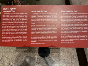 毎年、または2〜3年に一度、祈祷師や産婆たち…病気を治した祈祷師たちは「新しい収穫を捧げる」儀式を、家または村で行い、守護女神に感謝を捧げ、健康と豊かな生活を祈願します。花の各枝には、母親の乳房に似た木や竹で作られた多くのもの、架空の動物（マカラ、龍、蜘蛛、鳥、蛇、水牛）、道具（船、トウモロコシ、米、ココナッツ）、ハイビスカスの花、その他の意味を持つものが吊るされます。守護霊であるバーとムーの「遊びと贈り物」の儀式。毎年、または2、3年ごとに、最初の収穫の後、治療シャーマンであるムーたちは、家や村で新しい収穫を捧げる儀式を執り行い、守護霊を称え、健康と豊かな生活のための祝福を得ます。シュロの枝には、木製または編み物のミニチュアが加えられます：母の乳房、伝説上の動物（水中の怪物、龍、蜘蛛、鳥、蛇、水牛）、オブジェ（カヌー、トウモロコシの穂、米、ココナッツ）、ハイビスカスの花、贈り物、その他のさまざまな小物。これらは雷のような自然現象の象徴であり、豊かな収穫のための雨季を村人たちが願う希望の表れです。2、3年ごと、最初の収穫後の新しい時代の儀礼の一環として、治療師たちは「守護霊の新しい時代を祝う」と呼ばれる儀式を執り行い、感謝を捧げ、健康と豊かな生活を祈ります。他の小さな木製や編んだ竹のオブジェも木を飾ります。色とりどりのハイビスカスの花が、天と地を象徴する中央の柱の周りに吊るされます。これらの活動は、雷やその他の自然現象、そして雨と豊かな収穫を願う村人たちの希望を表しています