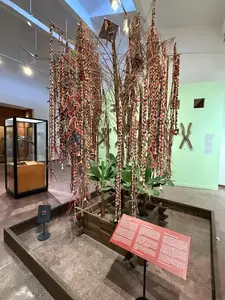 祭りは通常、旧暦1月15日から18日までの3日間開催されます。ネウの木は、高さ6〜8メートルのローオー（または竹）の幹で作られ、コール人の特徴的なシンボルで装飾されています。ネウの木には天と地を象徴する円、舵を取る人が乗った船、そして両側には豊穣を象徴する鳩がいます。宇宙を象徴する八芒星が木の頂上に取り付けられています。ネウの木の周りには、神々、祖父母、先祖、そして客人を招き共に楽しむために、たくさんのキャッサバ芋の餅の連なりが吊るされています