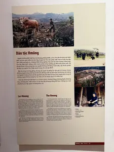 伝統的な経済は、焼畑農業、トウモロコシ、もち米、その他の作物の栽培です。家畜には、鶏、豚、犬、馬、牛がいます。彼らはまた、麻布織り、鍛冶、木工、革製品、製紙、銀の彫刻、そして家庭用生産道具の製作といった手工芸も行っています。最も有名なのは、この民族の発展過程における衣服の要求に応え、高い技術と美的レベルを反映したユニークな製品である麻布織りの技術です。モン族の女性には多くの異なる地域グループがあります。モン族の女性の服装の違いは、モン族の女性のグループを分類するための主要な特徴です：白モン、花モン、赤モン、黒モン、青モン。「花」という言葉は、衣服の装飾模様を指します。笛や笙（ケン）は、特にテト（旧正月）や葬儀の際に、精神的な文化活動に欠かせない楽器です