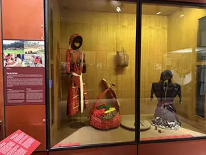 ノンはタラバヤシの葉またはパルミラヤシの葉から作られ、フックソウの繊維またはバナナの絹糸で縫われます。ノンは雨や日差しを遮ることができます。さらに、物を入れたり、暑い時に涼をとるための扇子として使われたり...そして特に、伝統的なアオザイを着たベトナム人女性の優雅さを引き立てます。農民や屋外を頻繁に移動する必要がある人々にとって非常に便利です。彼らは邪魔されることなく、アオトイを着ながら仕事をすることができます